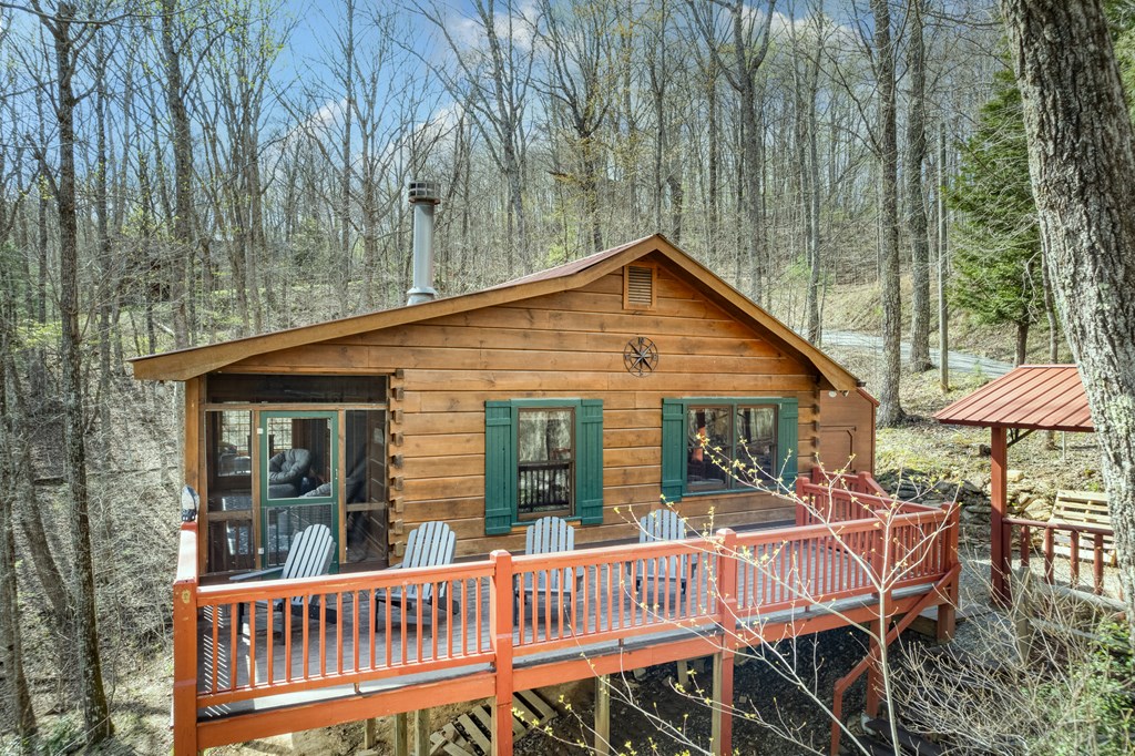 688 Little Bushy Head Road Blue Ridge, GA 30513 - Photo 4 of 49 Gallery Image 4