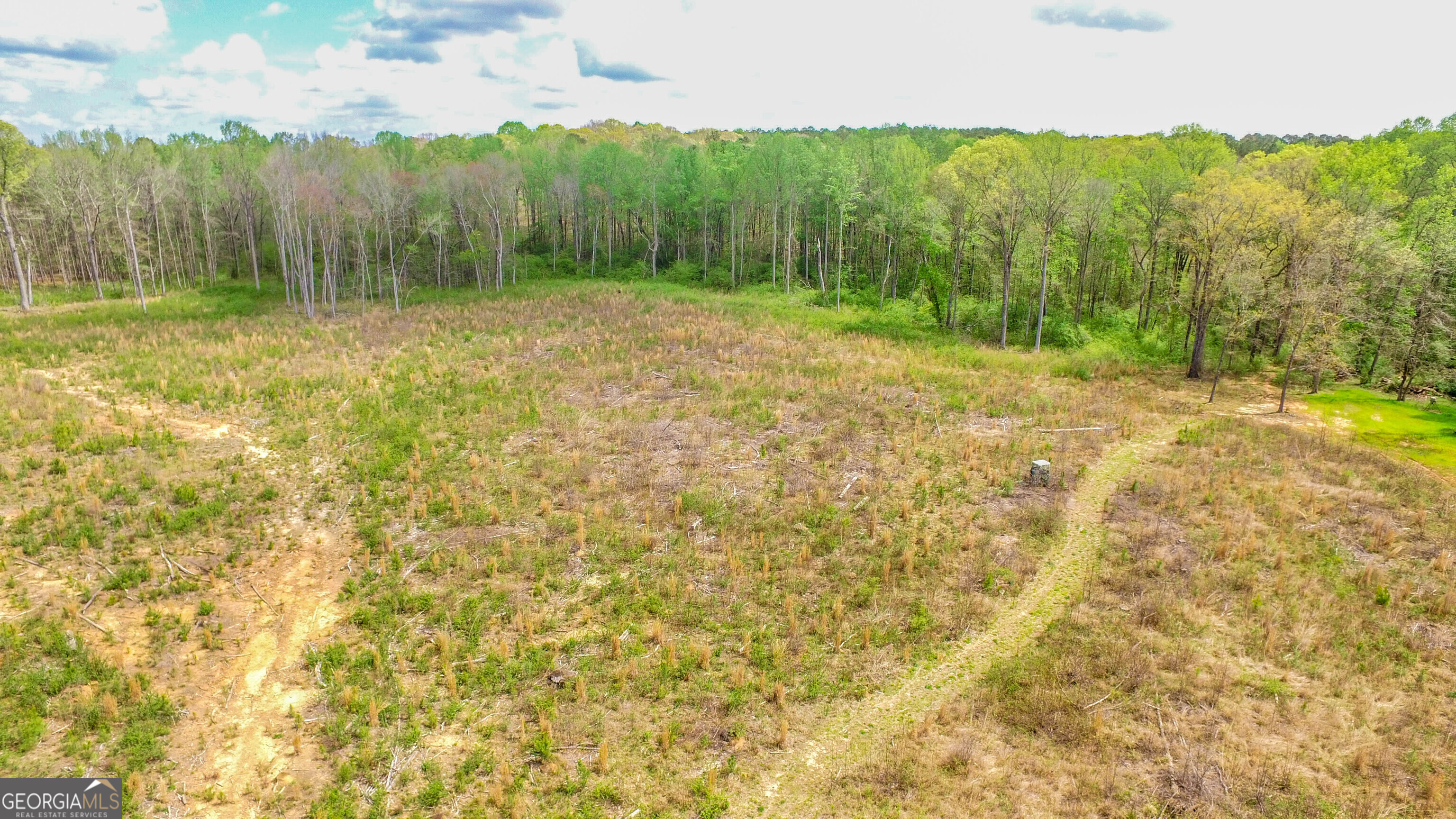 2185 Highway 85 Senoia, GA 30276 - Photo 14 of 25