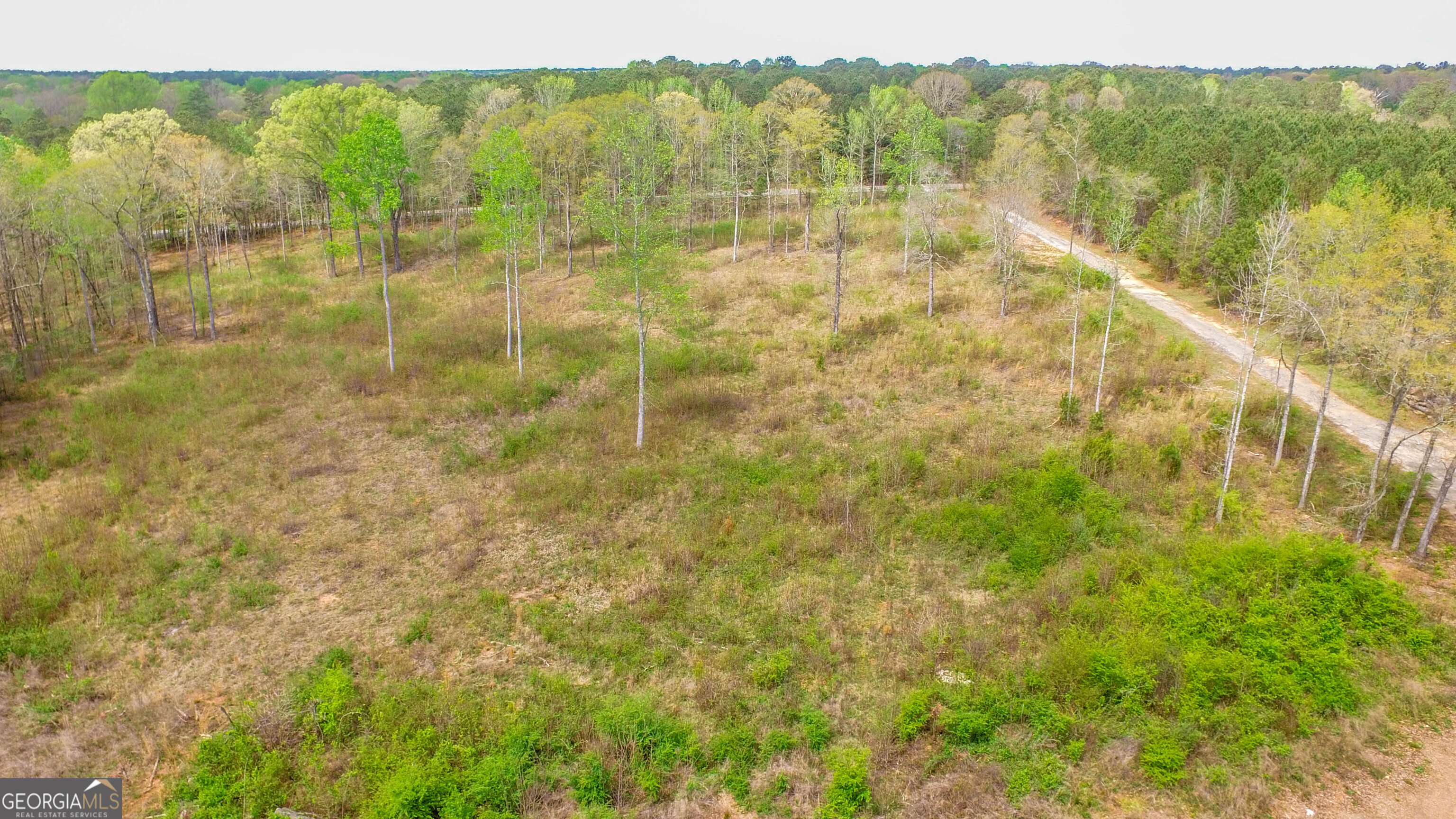 2185 Highway 85 Senoia, GA 30276 - Photo 24 of 25