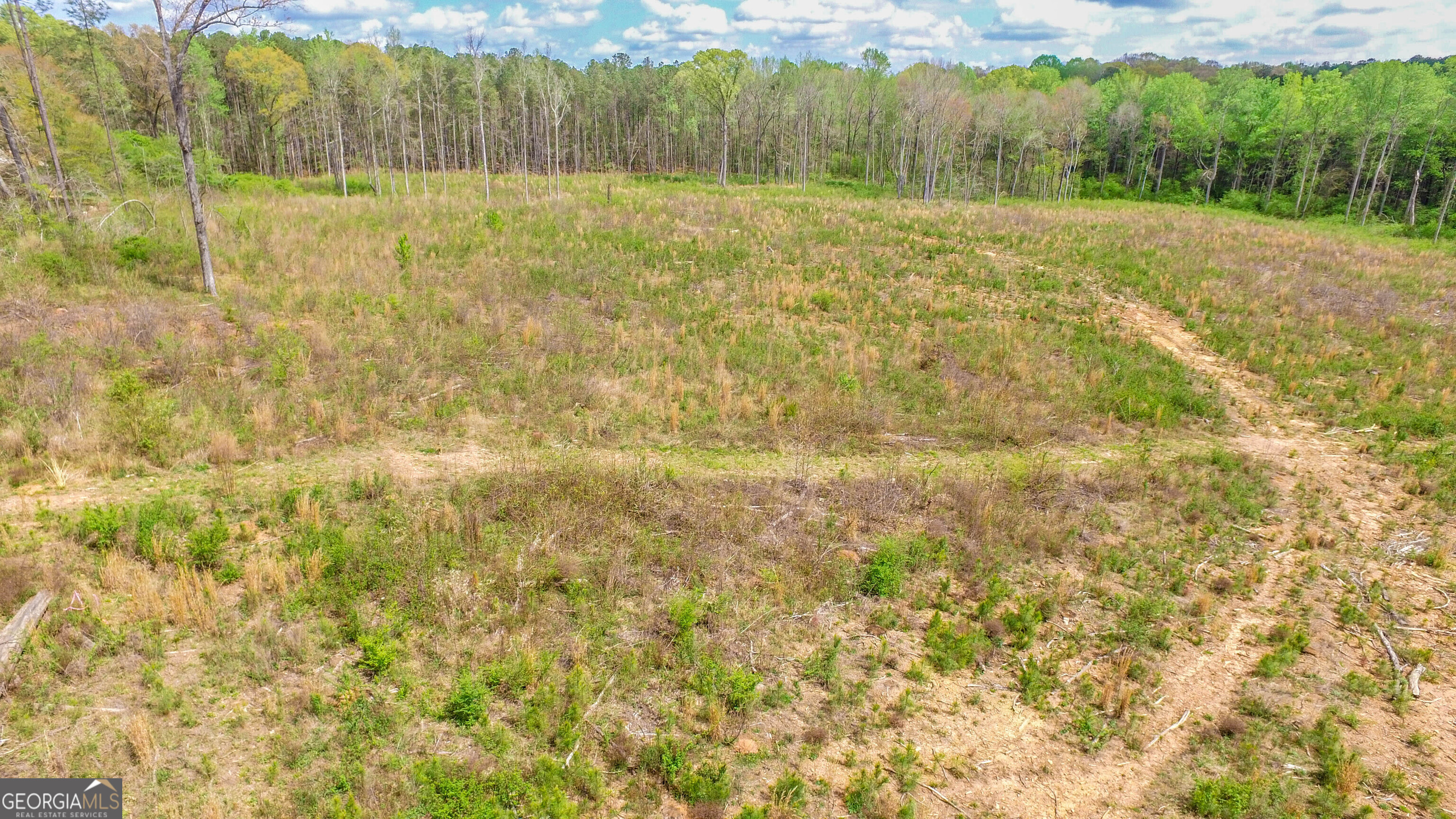 2185 Highway 85 Senoia, GA 30276 - Photo 3 of 25