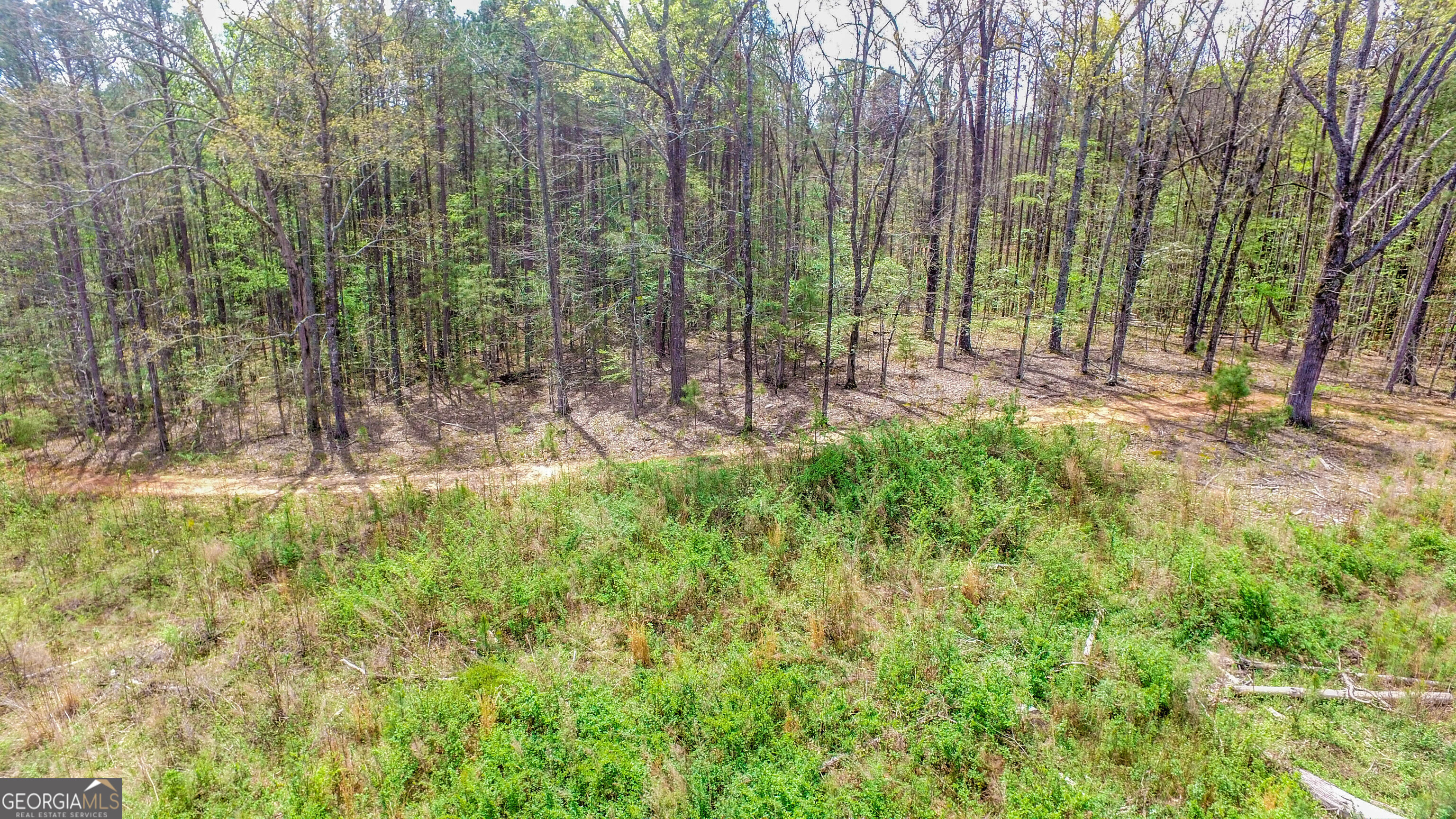 2185 Highway 85 Senoia, GA 30276 - Photo 7 of 25