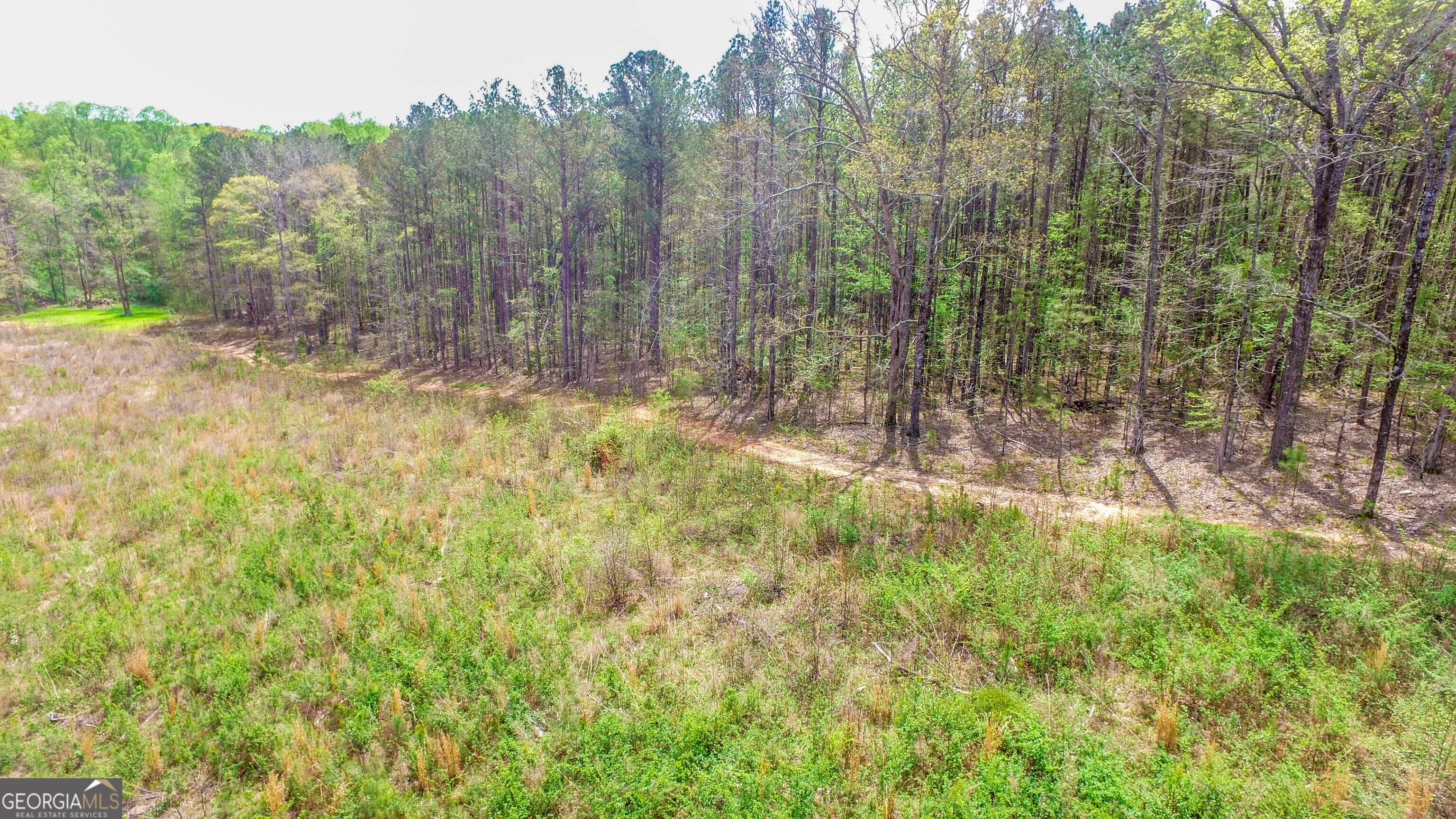 2185 Highway 85 Senoia, GA 30276 - Photo 8 of 25