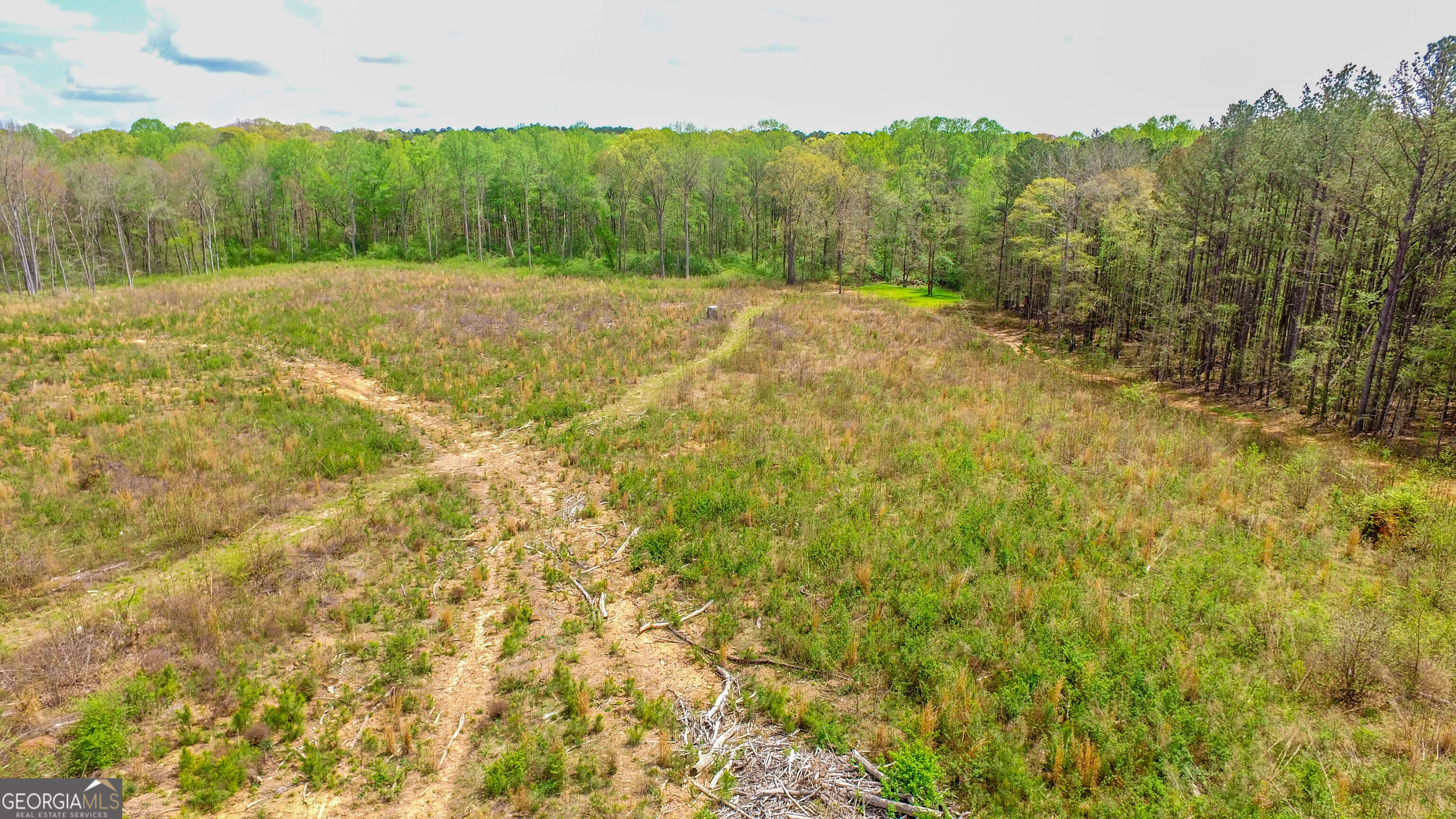 2185 Highway 85 Senoia, GA 30276 - Photo 9 of 25