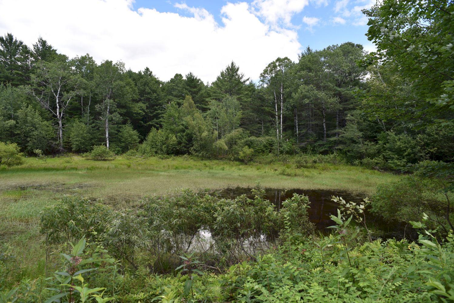 37 Childs Road Norridgewock, ME 04957 - Photo 4 of 32 4
