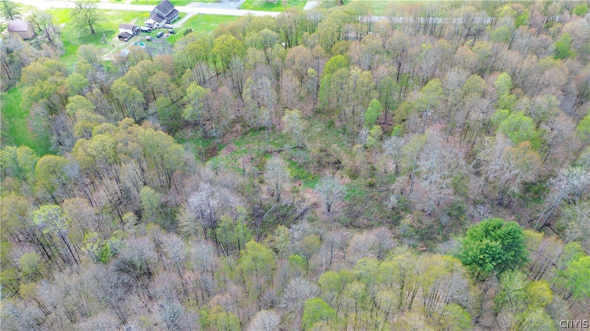 4886 West Ava Road, Unit 204 Ava, NY 13471 - Photo 10 of 13