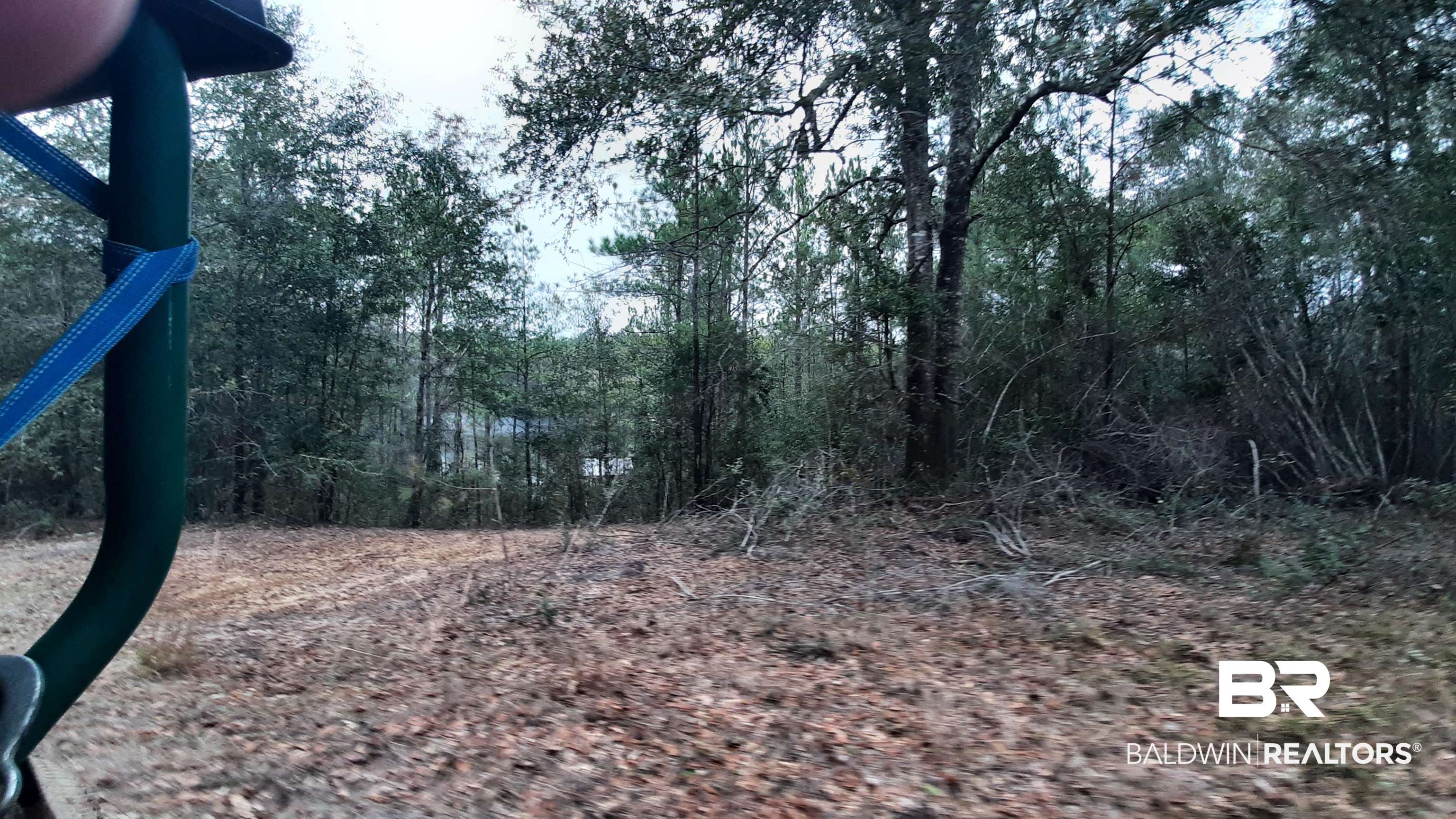 11375 Spring Lake Road Chunchula, AL 36521 - Photo 18 of 26