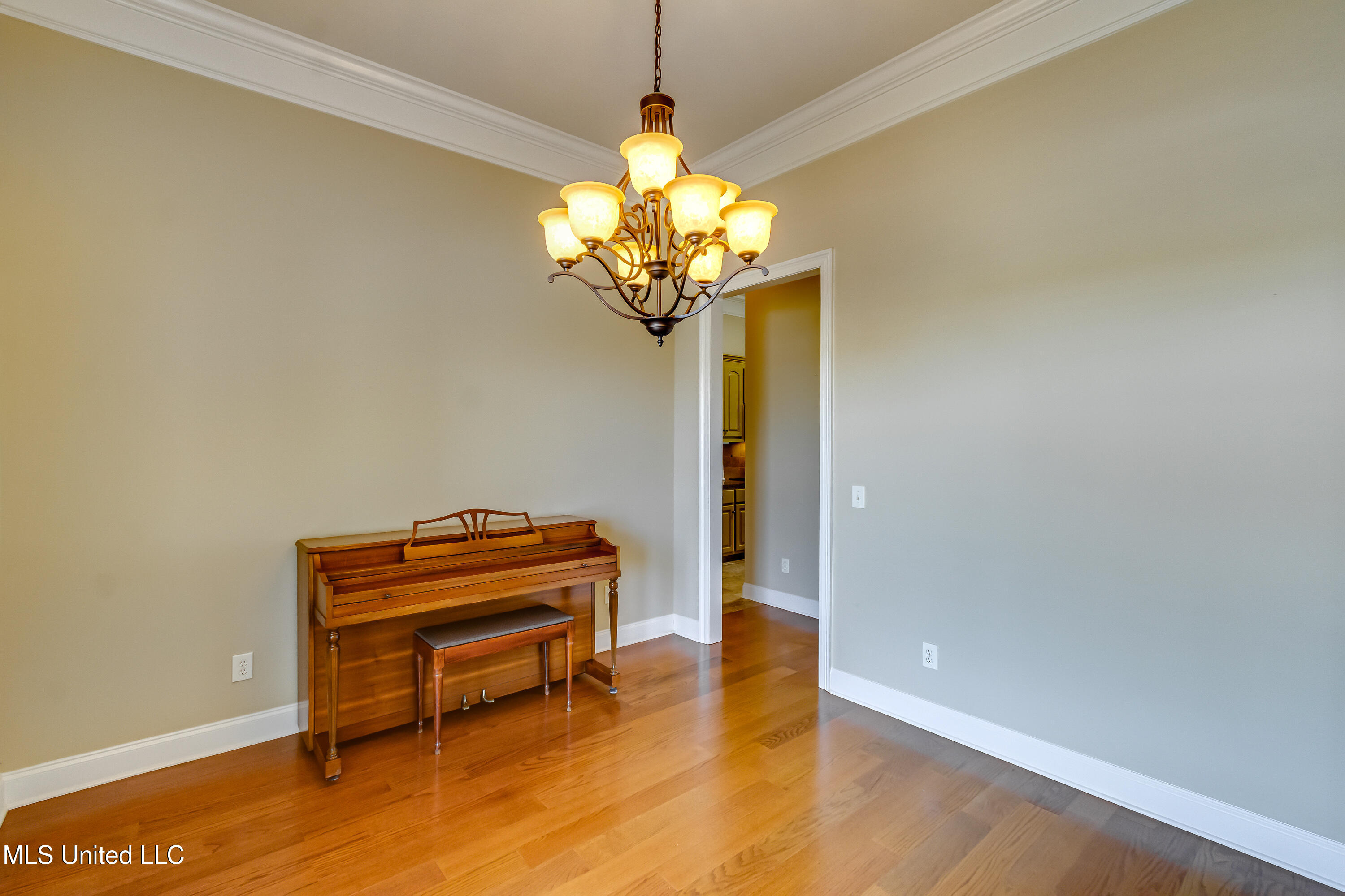 518 Springhill Crossing Brandon, MS 39047 - Photo 19 of 60 518 Springhill Crossing-22