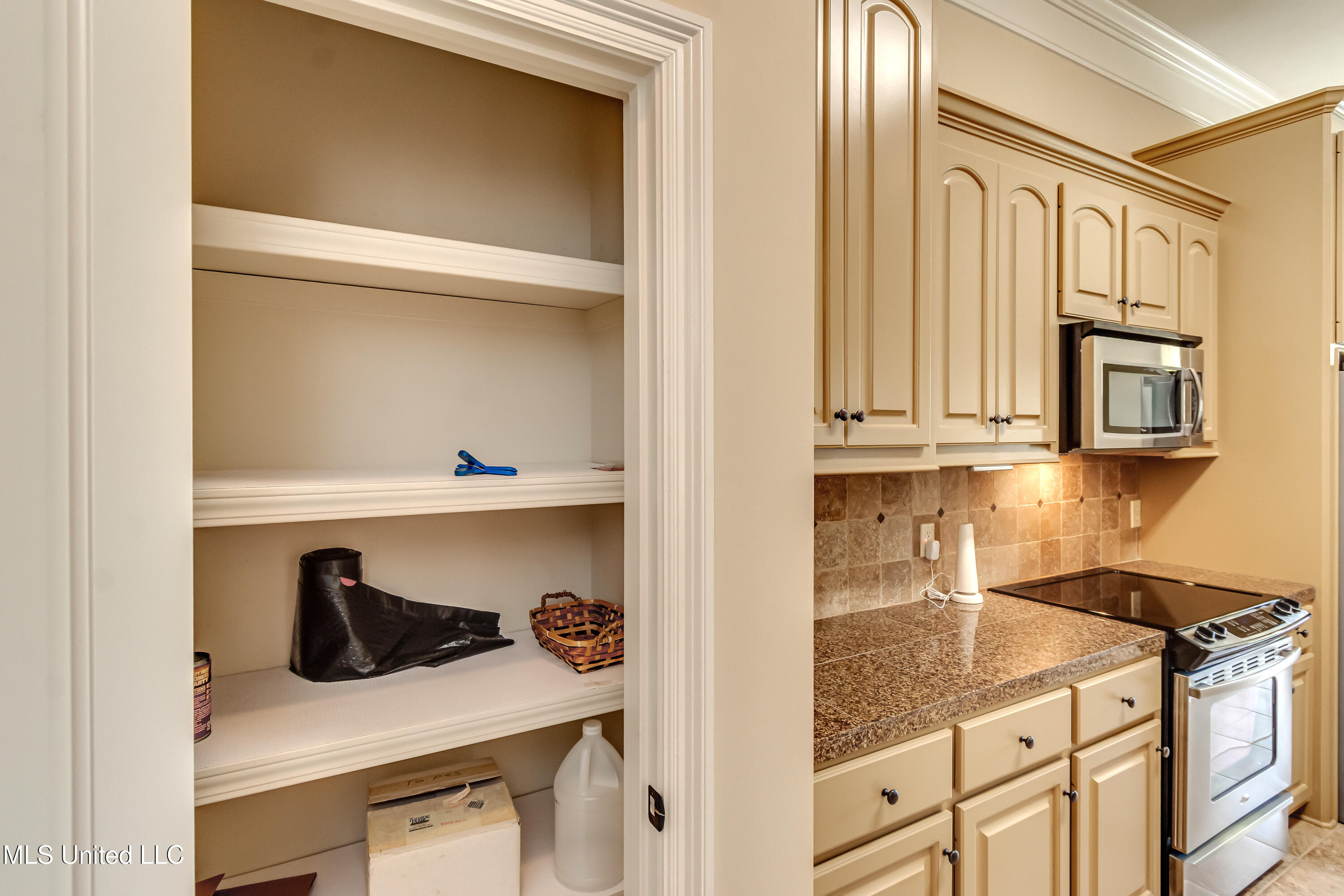 518 Springhill Crossing Brandon, MS 39047 - Photo 47 of 60 518 Springhill Crossing-52