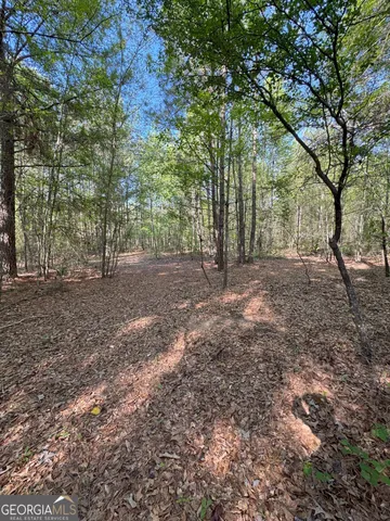 $240,000 | 0 Middle Ground Road, Louisville, GA 30434
