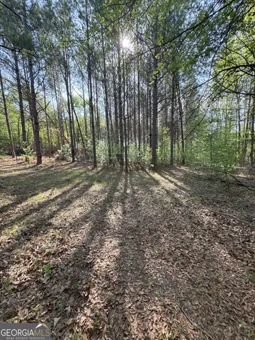 $240,000 | 0 Middle Ground Road, Louisville, GA 30434