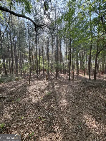$240,000 | 0 Middle Ground Road, Louisville, GA 30434