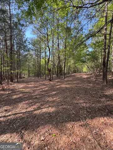$240,000 | 0 Middle Ground Road, Louisville, GA 30434