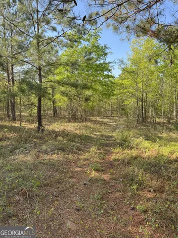 $240,000 | 0 Middle Ground Road, Louisville, GA 30434