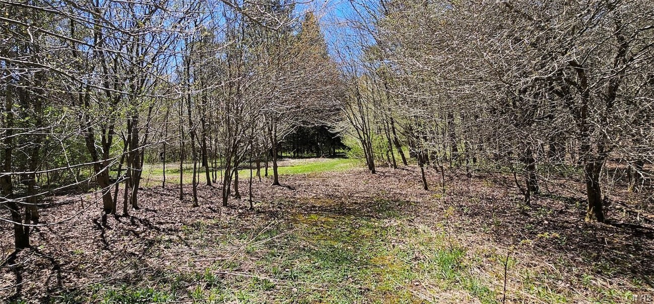 1720 County Route 12 De Ruyter, NY 13052 - Photo 34 of 49