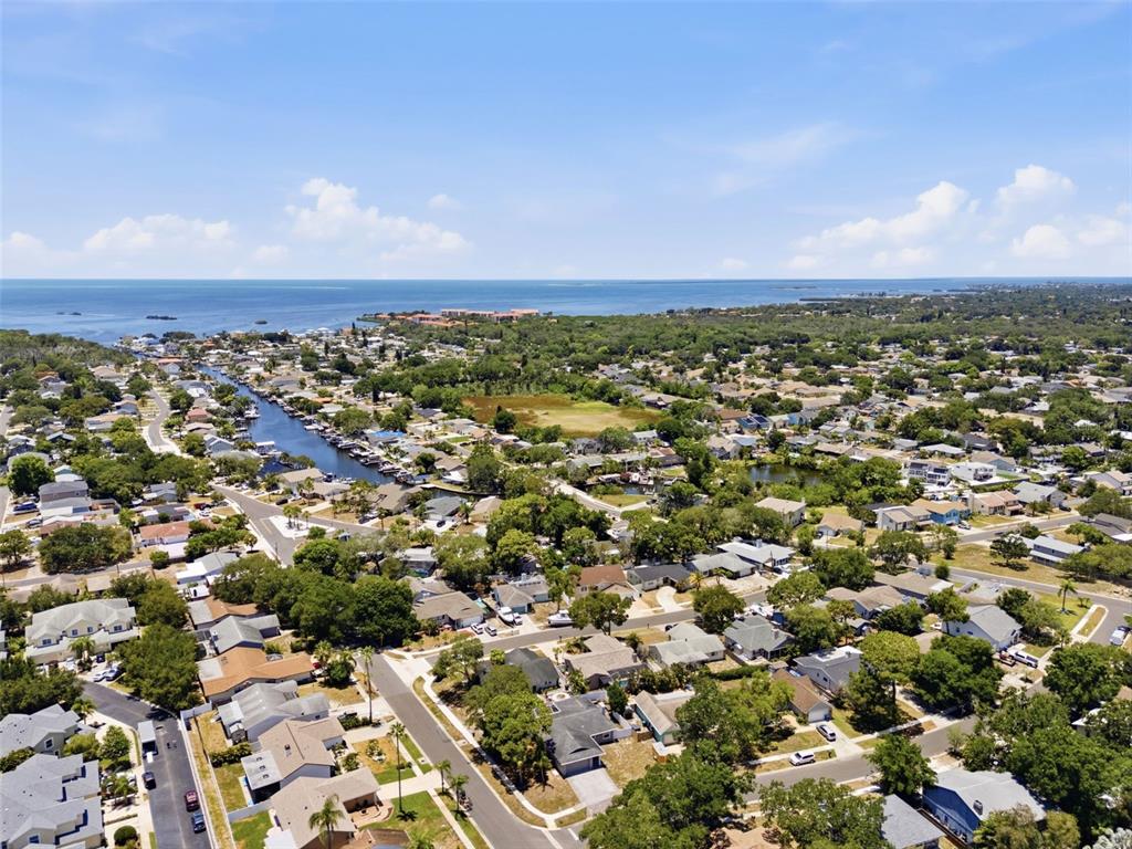 4712 Simcoe Street Palm Harbor, FL 34683 - Photo 50 of 51