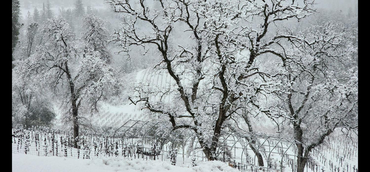 9425 Mosquito Road Placerville, CA 95667 - Photo 15 of 74