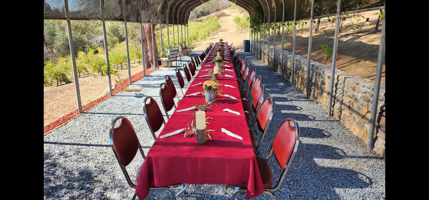 9425 Mosquito Road Placerville, CA 95667 - Photo 16 of 74