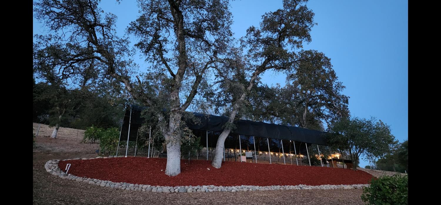 9425 Mosquito Road Placerville, CA 95667 - Photo 18 of 74 a view of outdoor space yard and tree