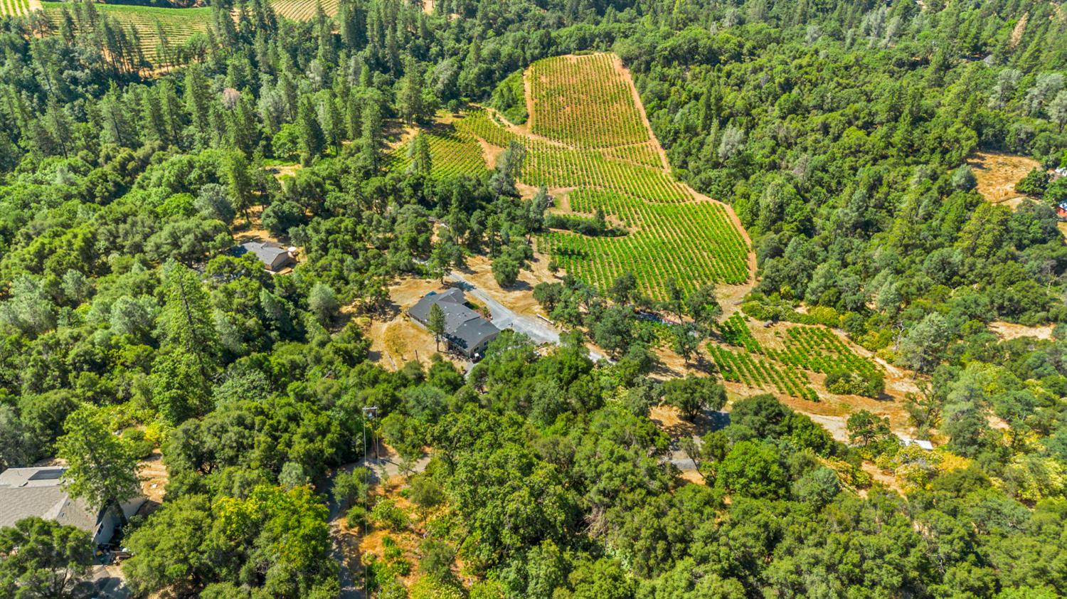 9425 Mosquito Road Placerville, CA 95667 - Photo 19 of 74 a view of a garden