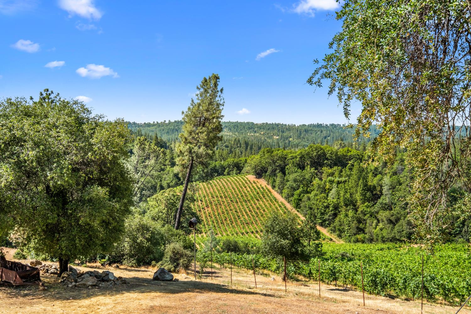 9425 Mosquito Road Placerville, CA 95667 - Photo 20 of 74