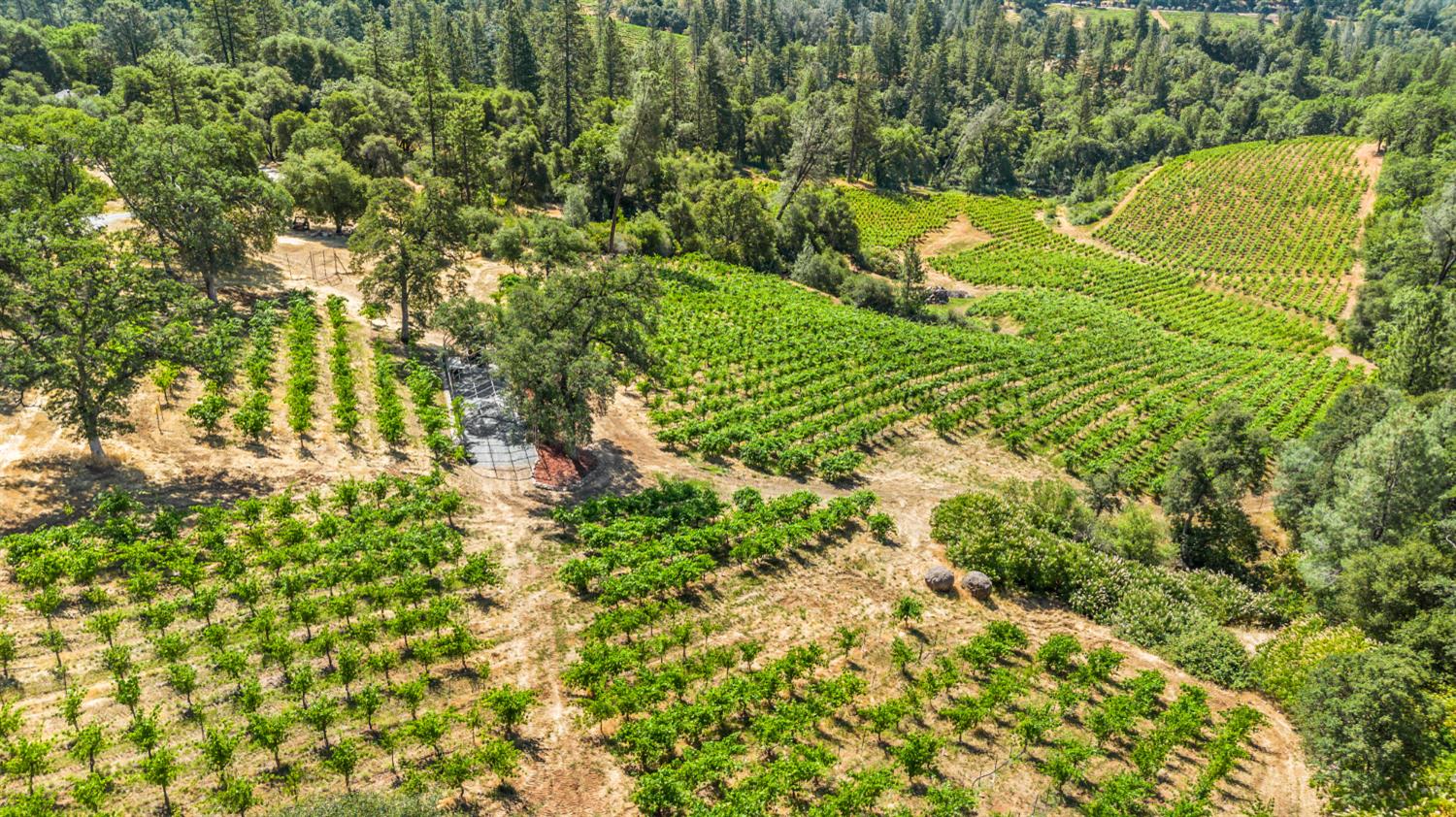 9425 Mosquito Road Placerville, CA 95667 - Photo 21 of 74