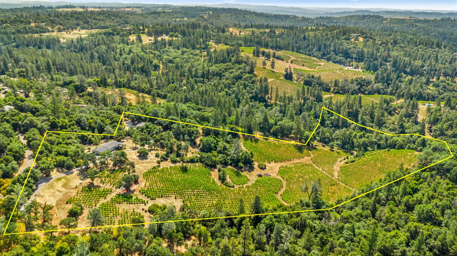 9425 Mosquito Road Placerville, CA 95667 - Photo 3 of 74