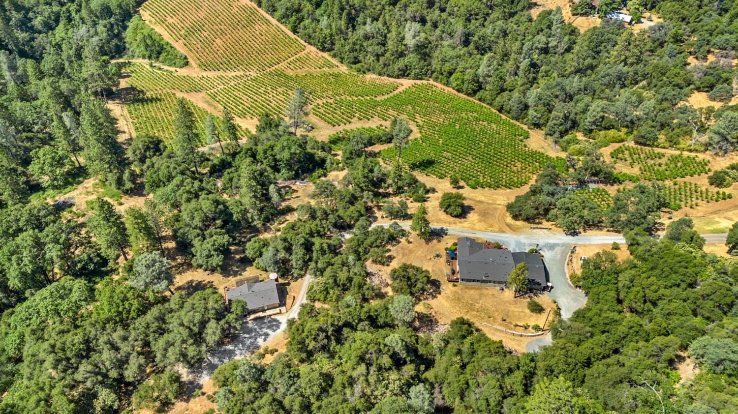 9425 Mosquito Road Placerville, CA 95667 - Photo 49 of 74