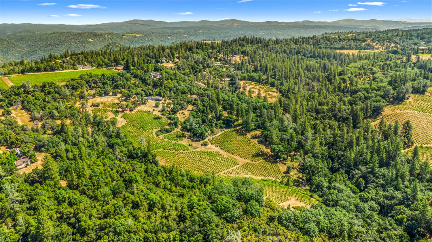 9425 Mosquito Road Placerville, CA 95667 - Photo 50 of 74 a view of a city with lush green forest