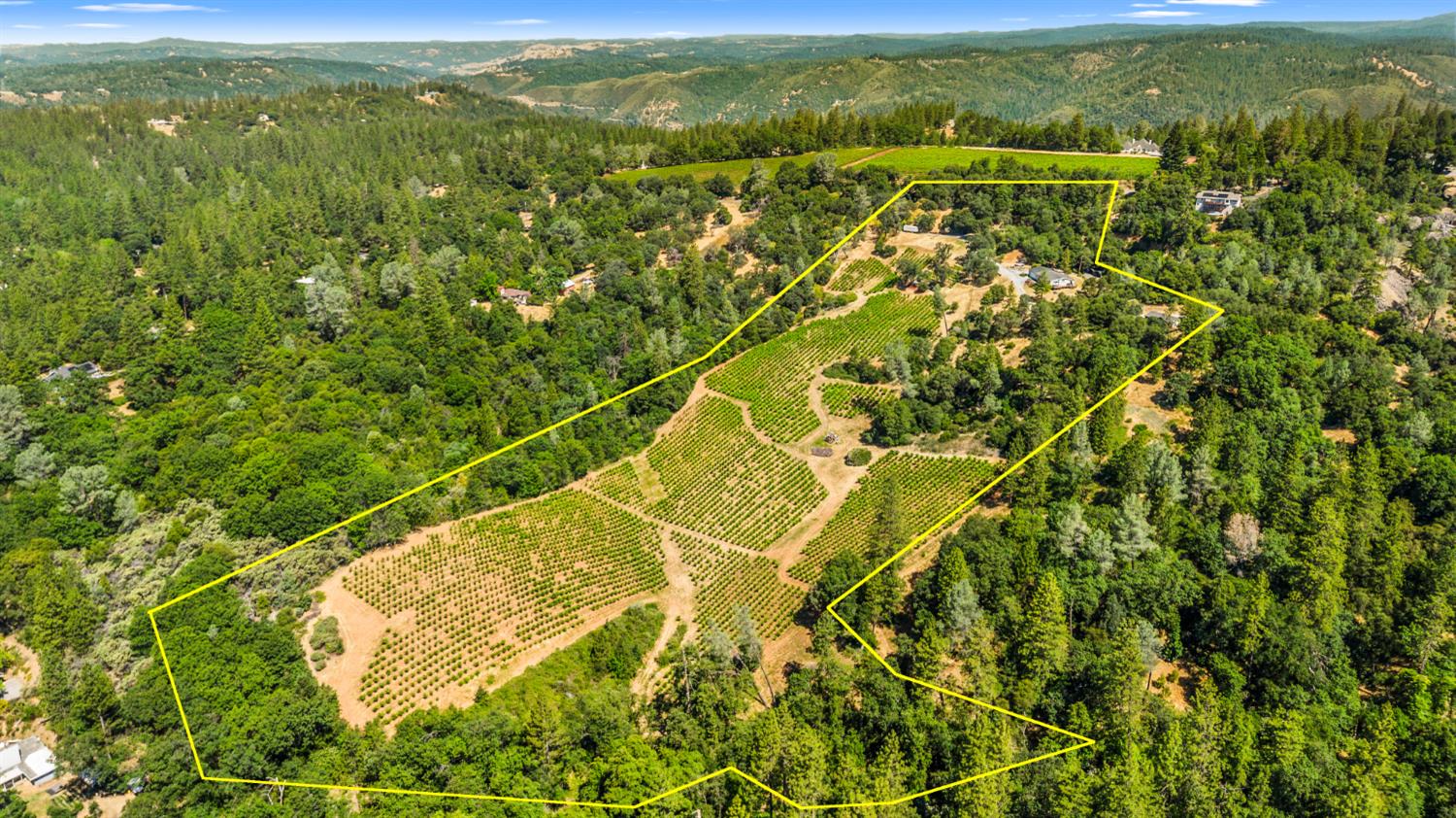 9425 Mosquito Road Placerville, CA 95667 - Photo 5 of 74