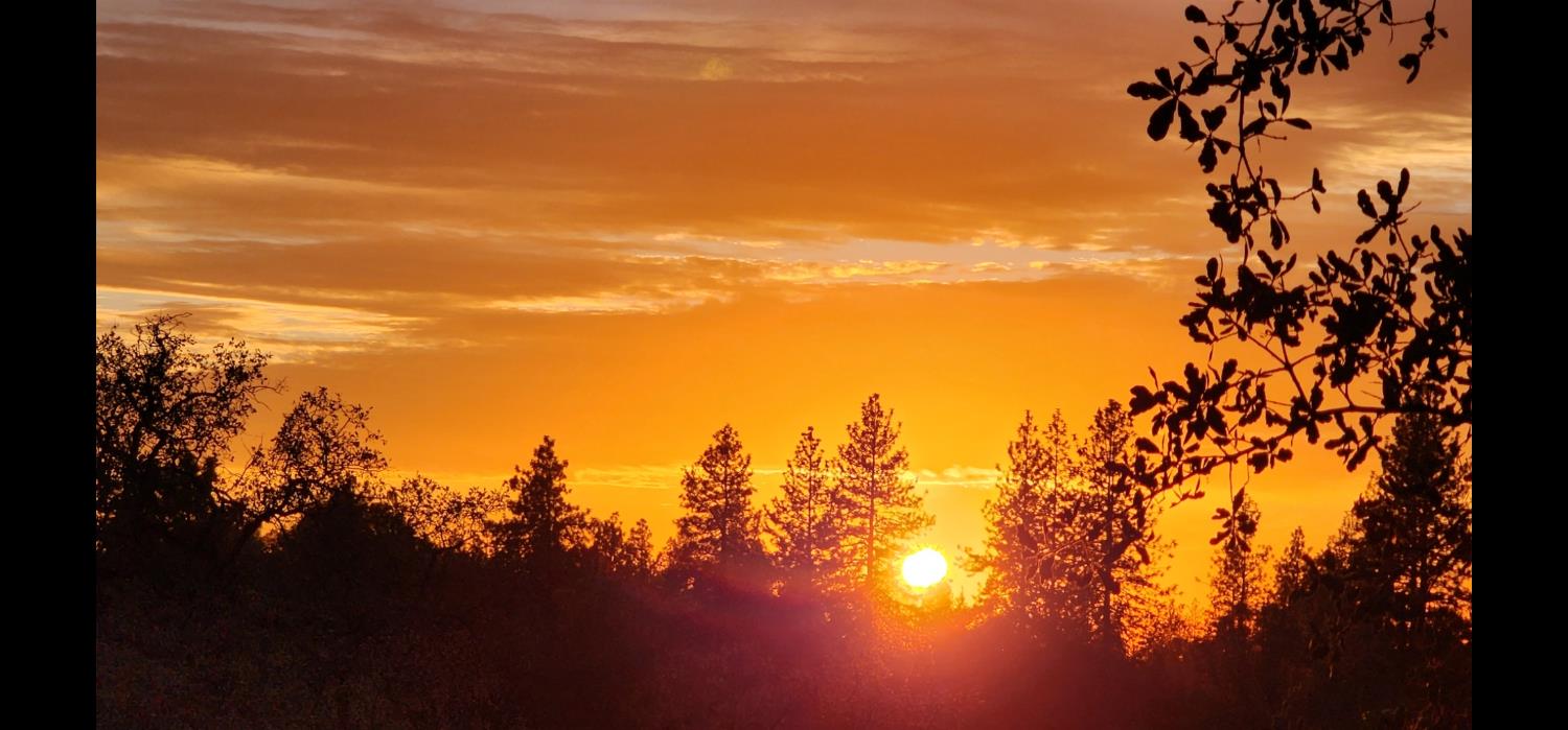 9425 Mosquito Road Placerville, CA 95667 - Photo 6 of 74