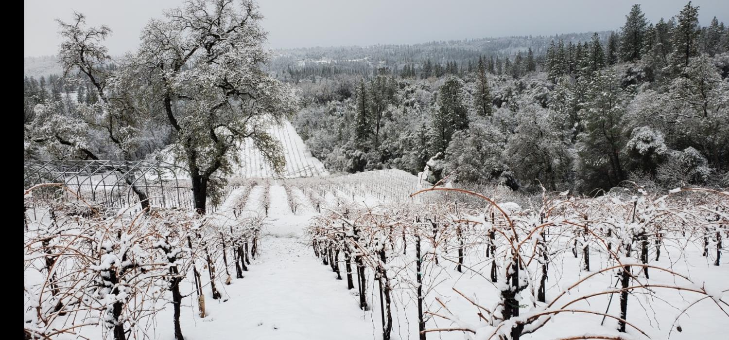 9425 Mosquito Road Placerville, CA 95667 - Photo 63 of 74