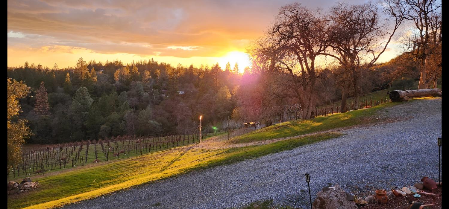 9425 Mosquito Road Placerville, CA 95667 - Photo 66 of 74 a view of swimming pool with a yard and large trees