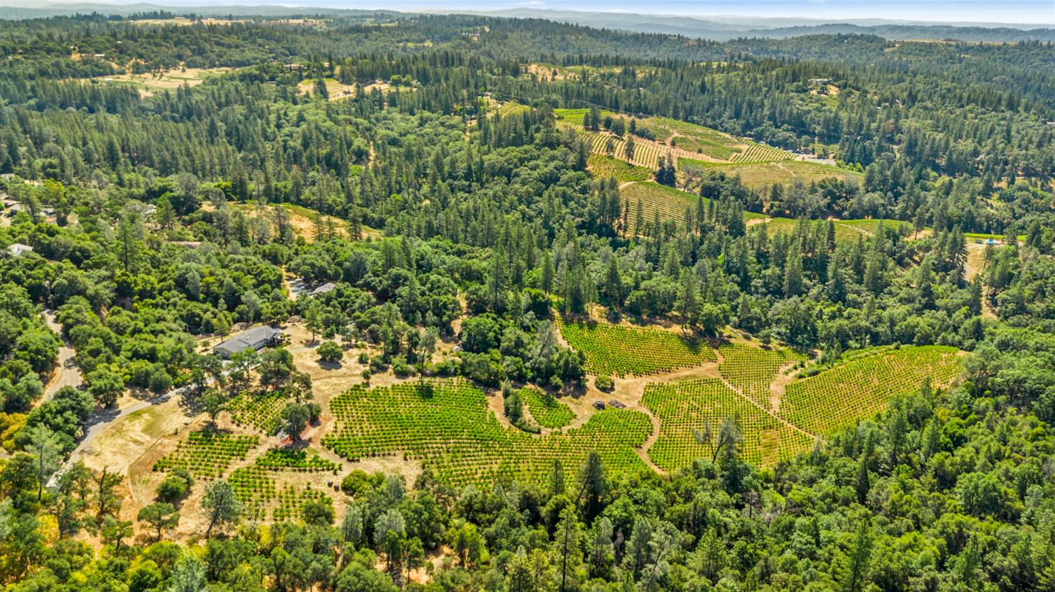 9425 Mosquito Road Placerville, CA 95667 - Photo 69 of 74 an aerial view of residential houses with outdoor space and trees