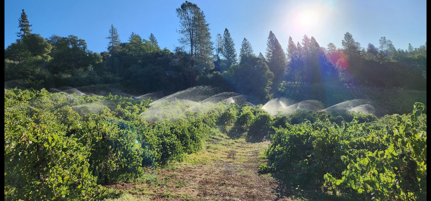 9425 Mosquito Road Placerville, CA 95667 - Photo 73 of 74