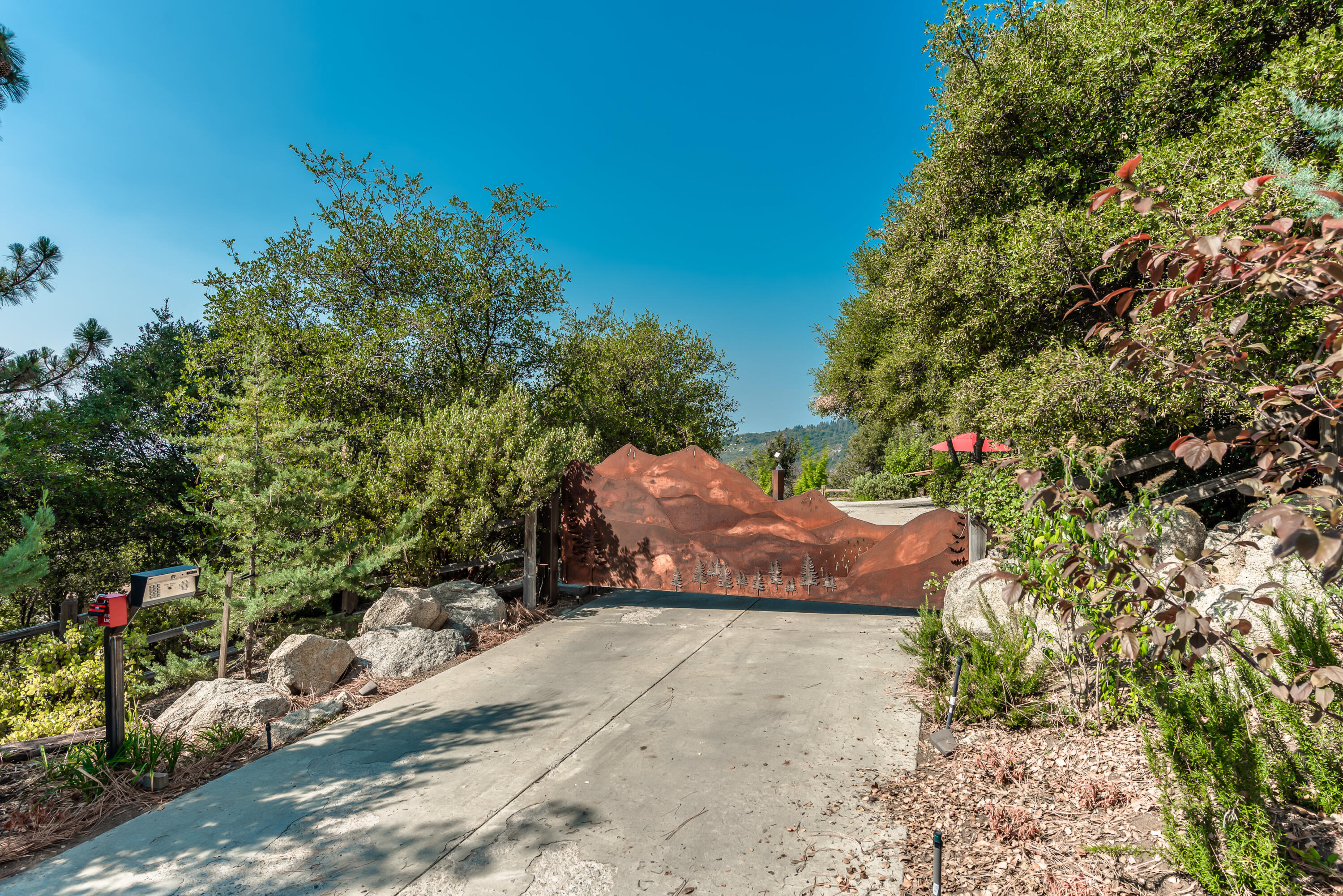 52430 Double View Drive Idyllwild, CA 92549 - Photo 14 of 74 a view of a yard