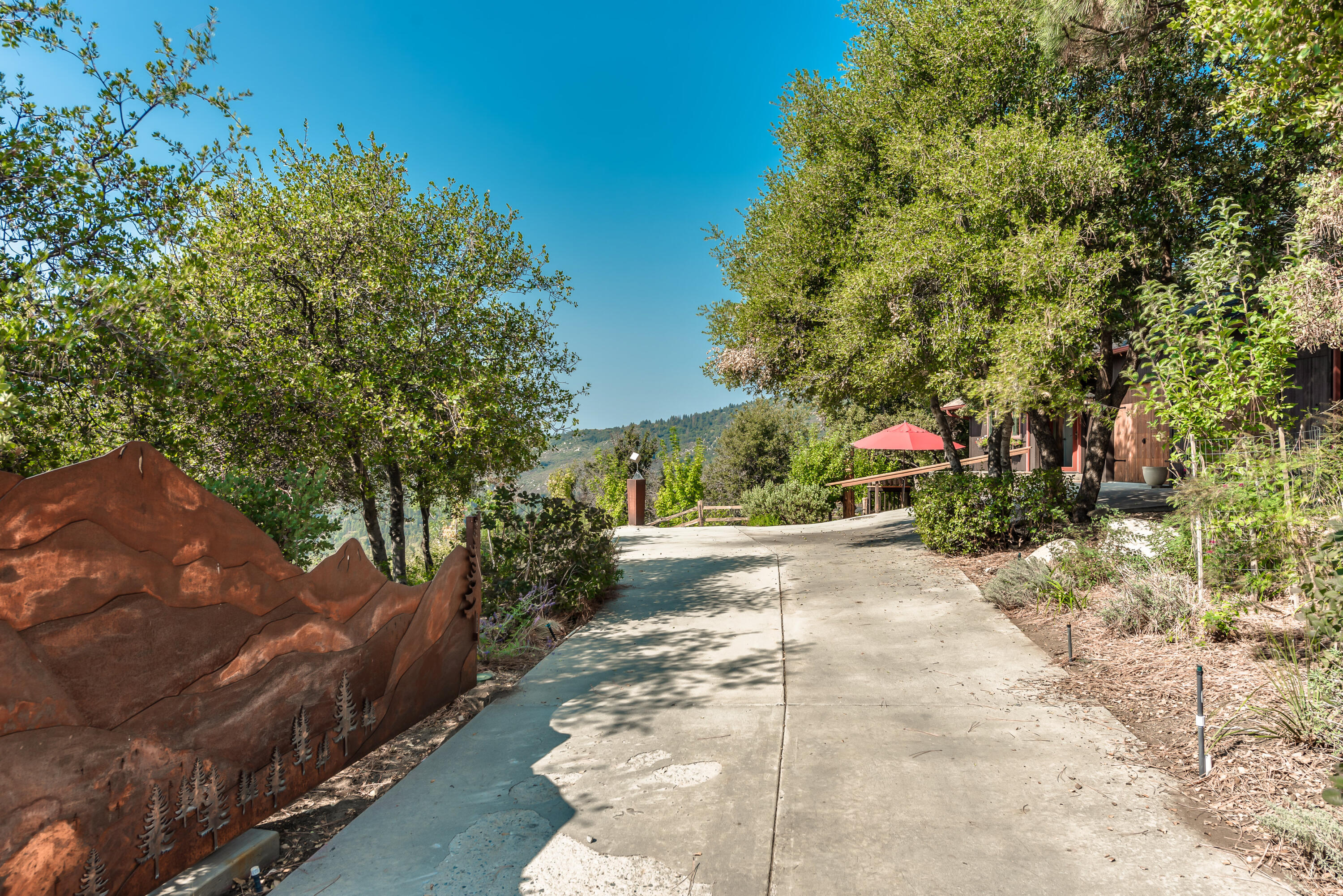 52430 Double View Drive Idyllwild, CA 92549 - Photo 15 of 74 a view of a yard with plants and trees