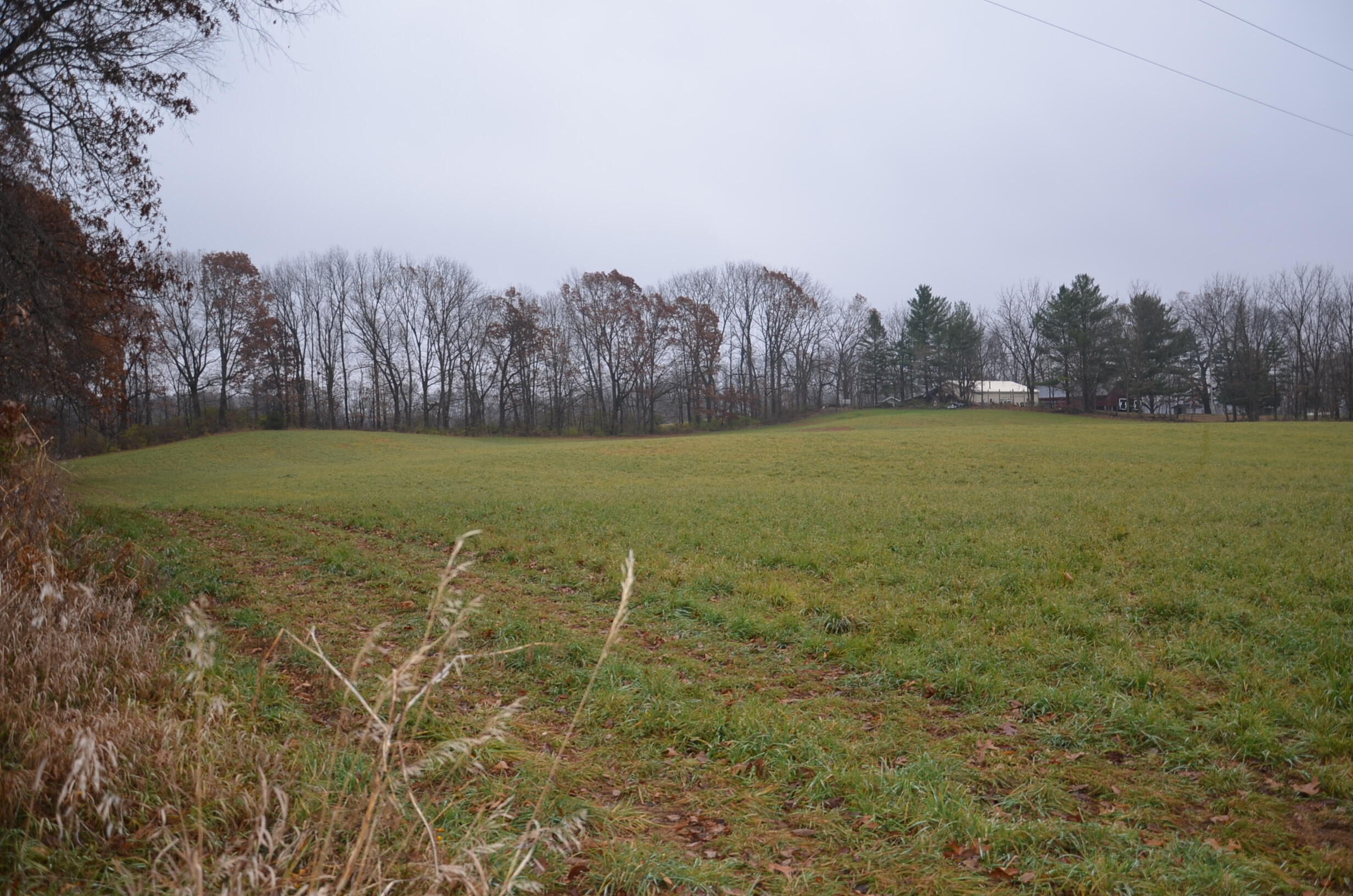 3366 Ludlow Road Albion, MI 49224 - Photo 32 of 50 DSC_5472