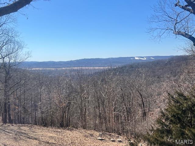 1437 Palisades Road Wildwood, MO 63021 - Photo 19 of 26