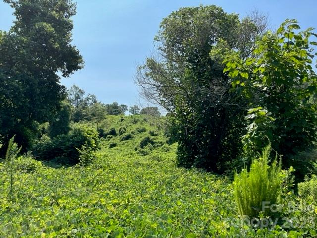 0 Green Street Rutherfordton, NC 28139 - Photo 1 of 4
