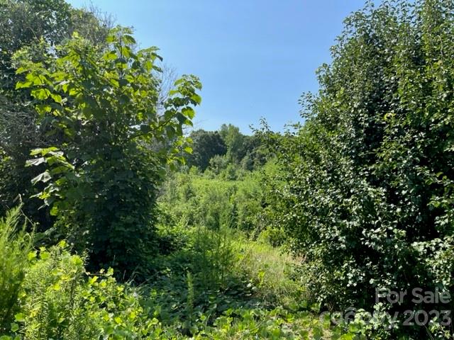 0 Green Street Rutherfordton, NC 28139 - Photo 2 of 4 a view of a plant in a garden