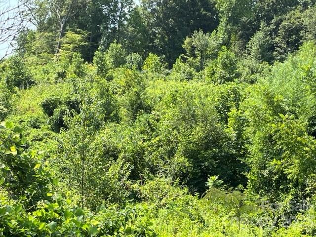 0 Green Street Rutherfordton, NC 28139 - Photo 4 of 4 a view of a lush green forest