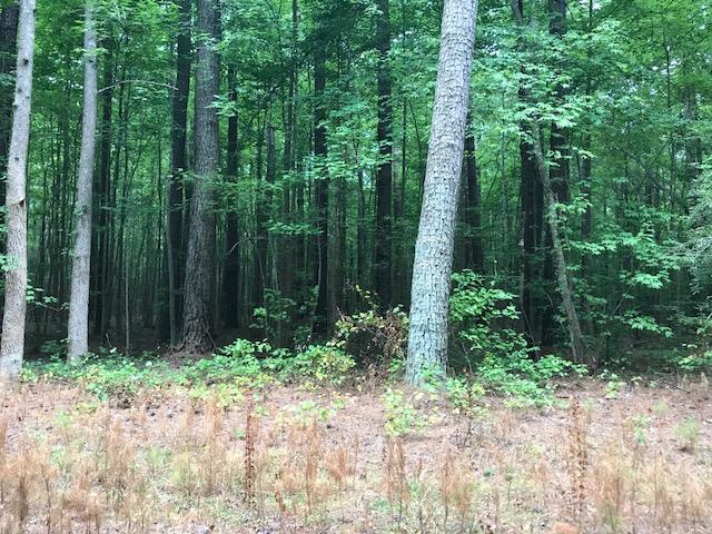 Lot 64 Hacksneck Road Hacksneck, VA 23358 - Photo 1 of 1