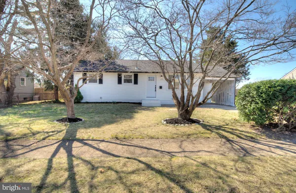 a view of a yard with large tree