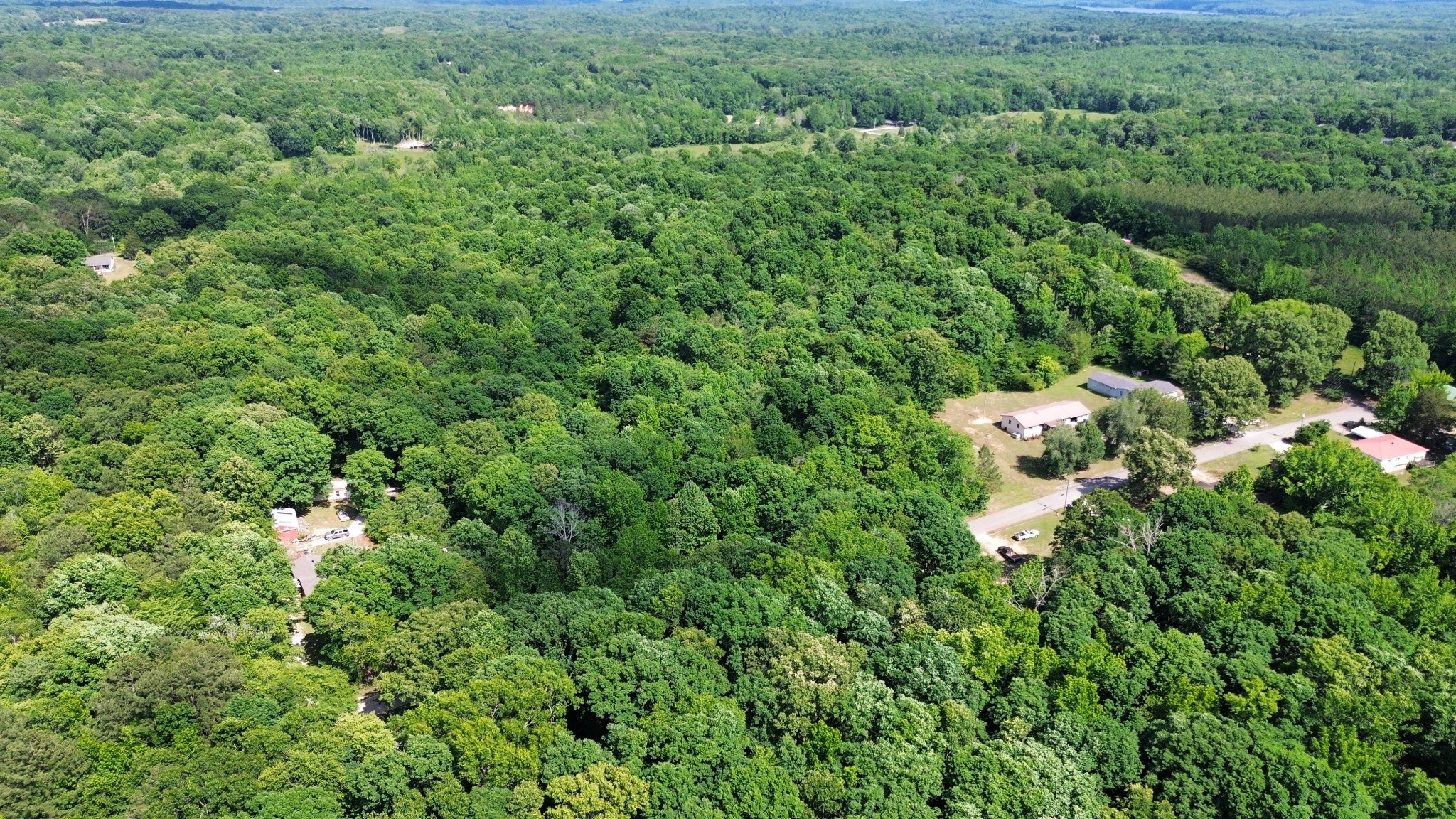0 George Street Camden, TN 38320 - Photo 7 of 12 a view of a house with a lush green forest