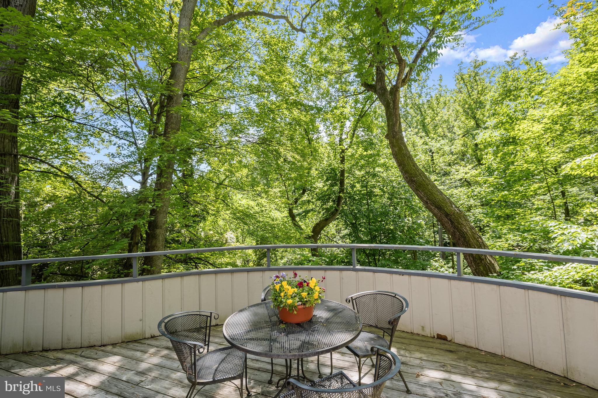 2603 Klingle Road Northwest Washington, DC 20008 - Photo 17 of 35 Terrace off kitchen and dining room