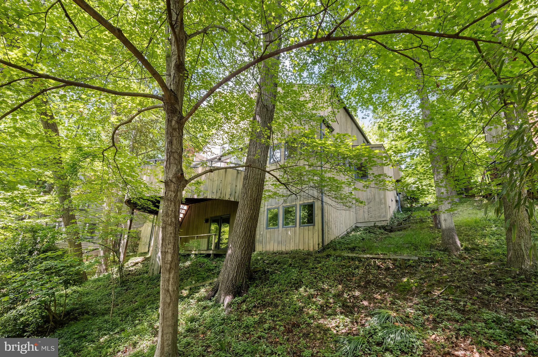 2603 Klingle Road Northwest Washington, DC 20008 - Photo 34 of 35 Gallery Image 34
