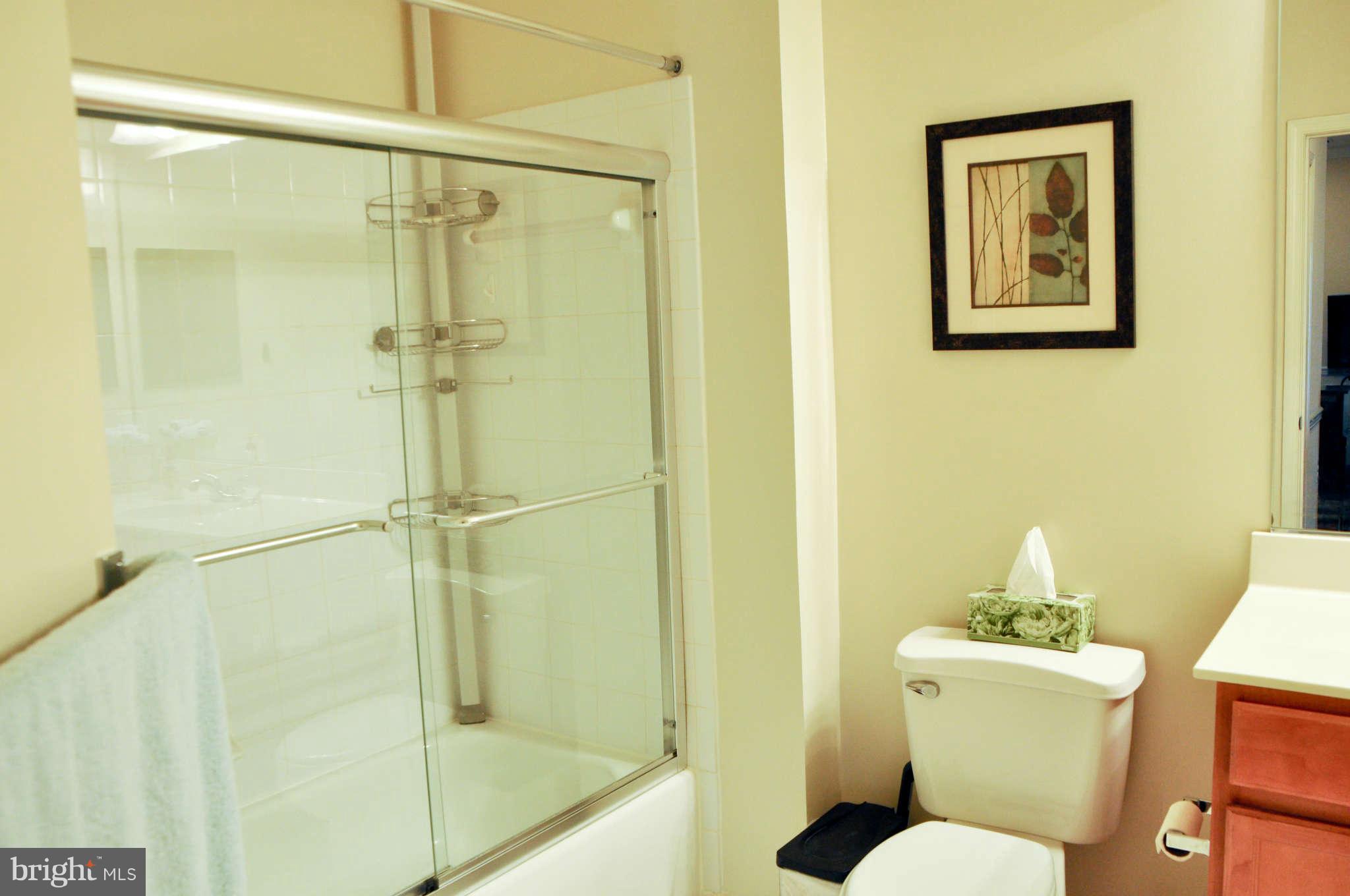 1520 North Point Drive, Unit 101 Reston, VA 20194 - Photo 12 of 22 Bath (Master)