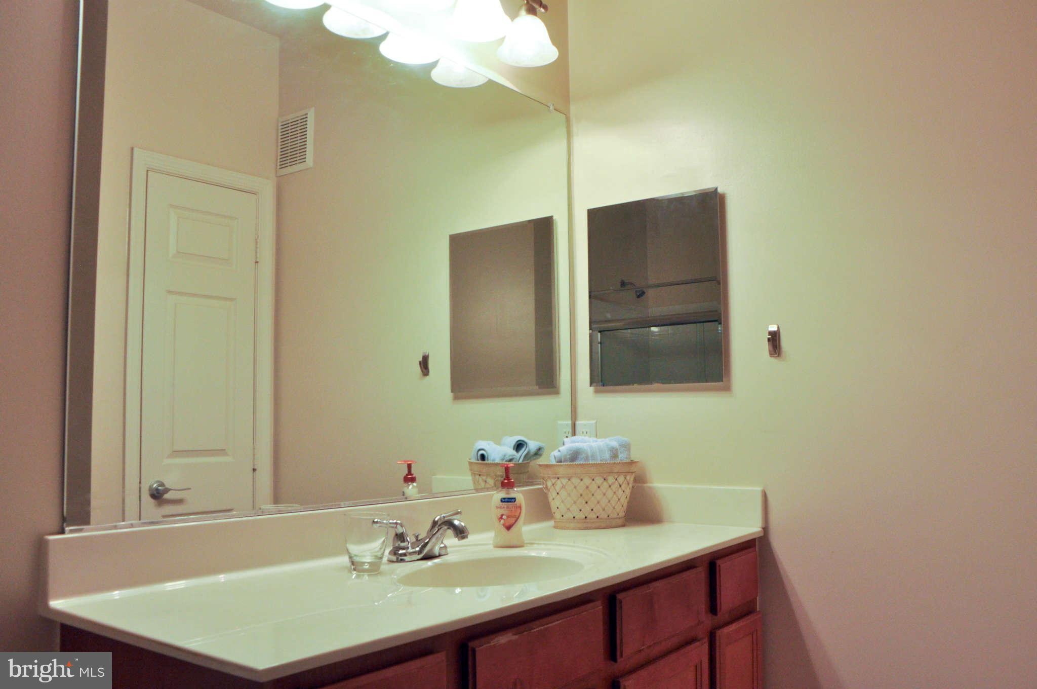 1520 North Point Drive, Unit 101 Reston, VA 20194 - Photo 13 of 22 Bath (Master)