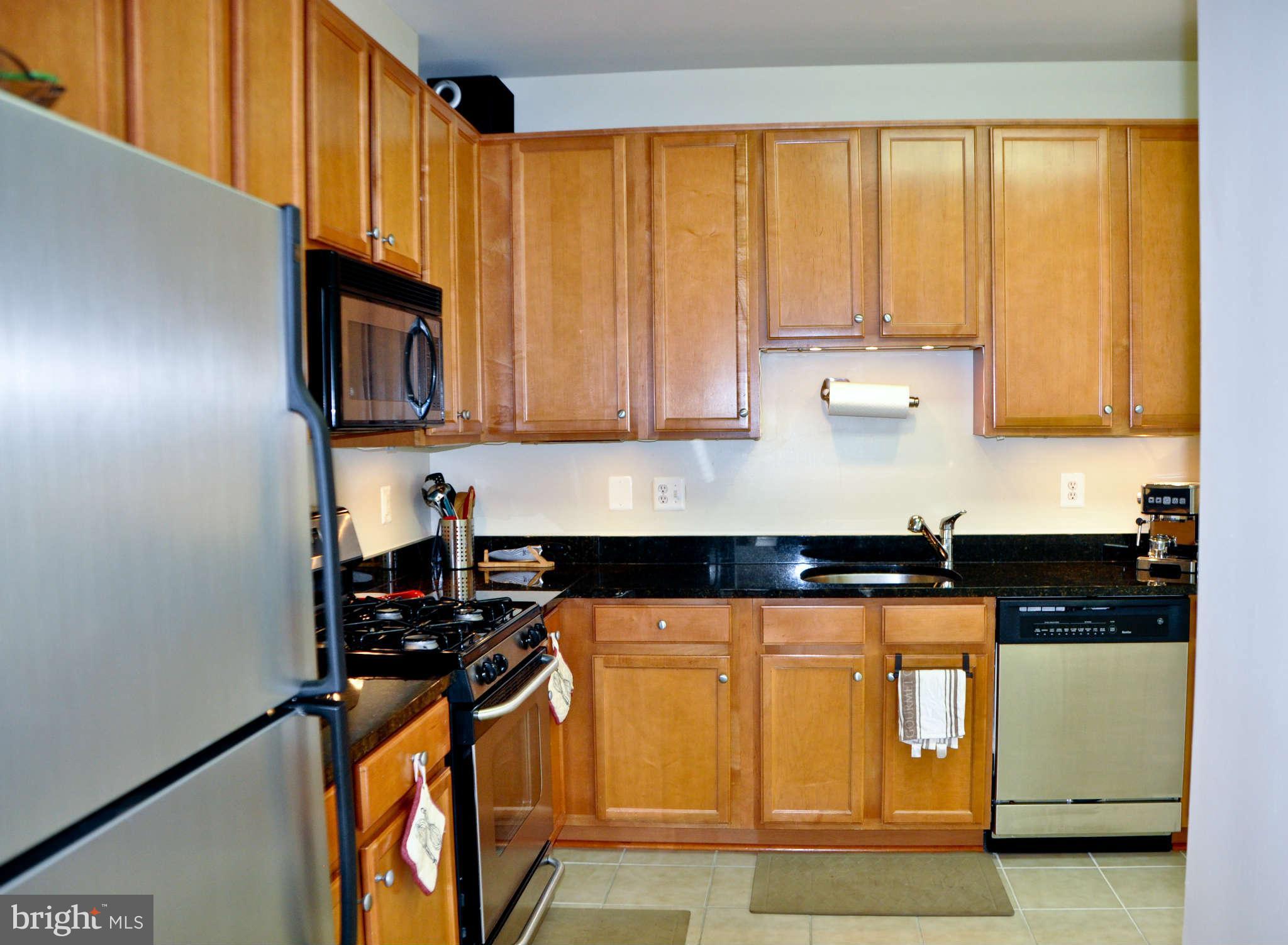 1520 North Point Drive, Unit 101 Reston, VA 20194 - Photo 19 of 22 Kitchen