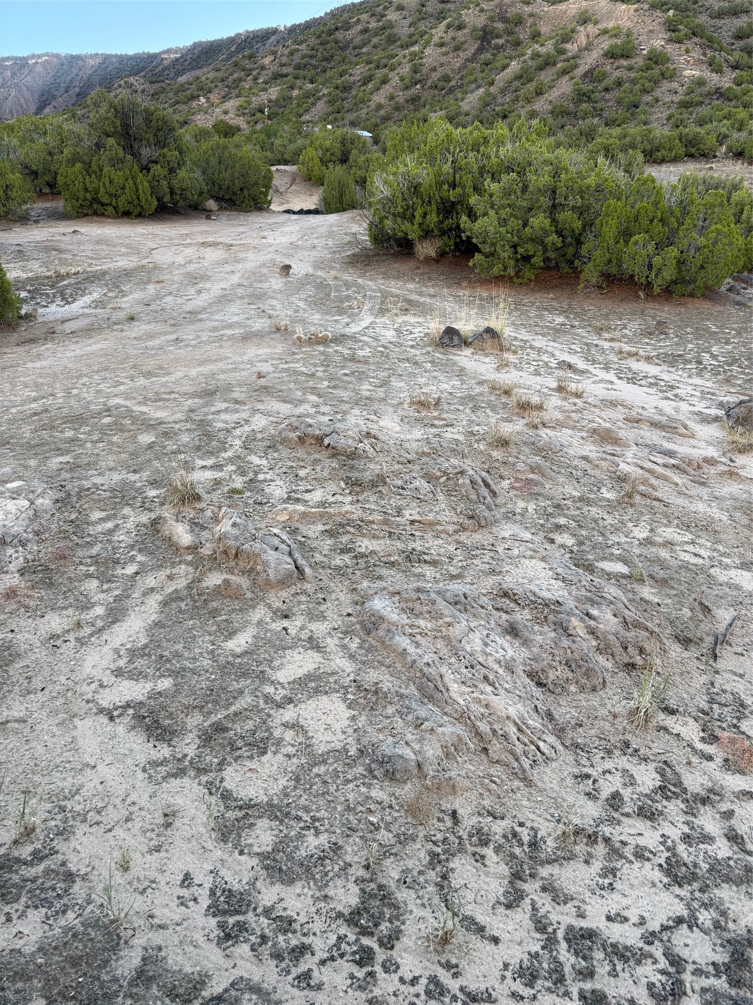 Tbd Lot 3 Tbd Road Ojo Caliente, NM 87549 - Photo 18 of 24